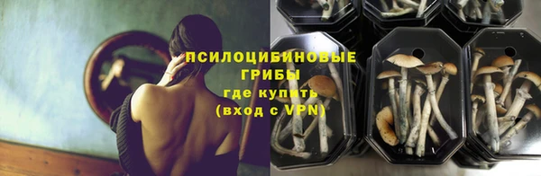 каннабис Абаза