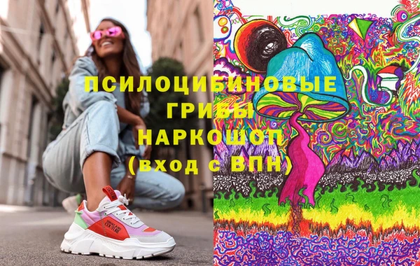 метадон Алексин